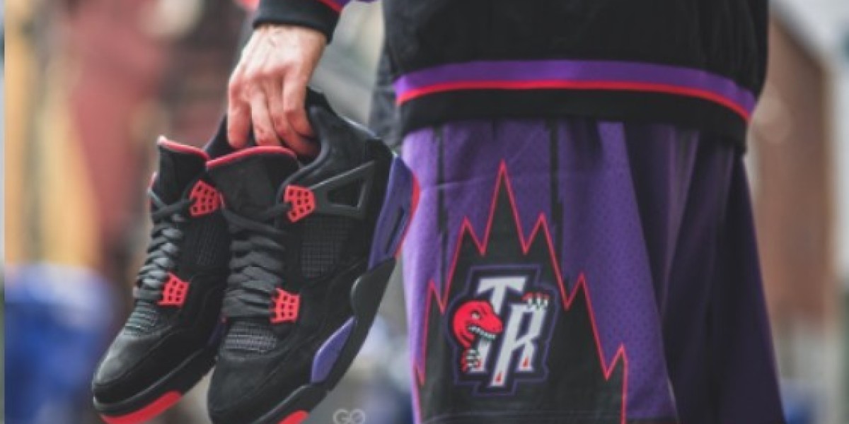 Entfessle dein Biest: Air Jordan 4 Retro NRG Raptors