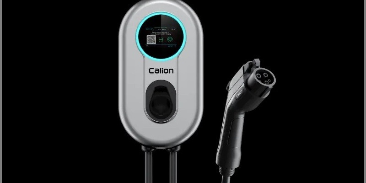 3.6kW CalionPower EV Charger: Compact and Efficient