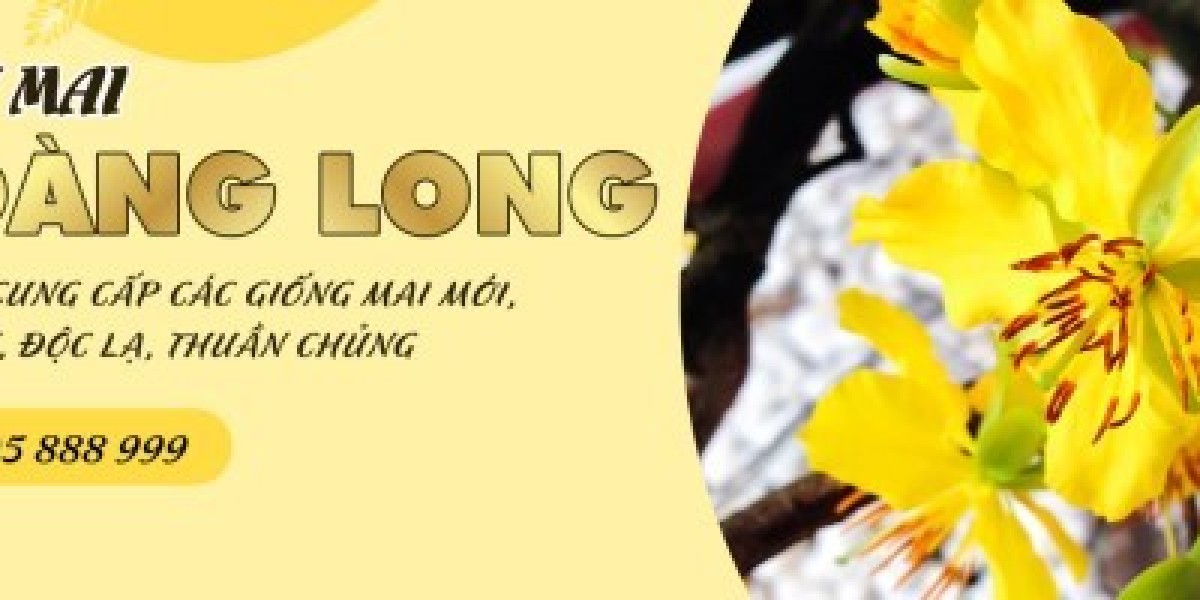 Làng Nghề Mai VÀng Phước Định