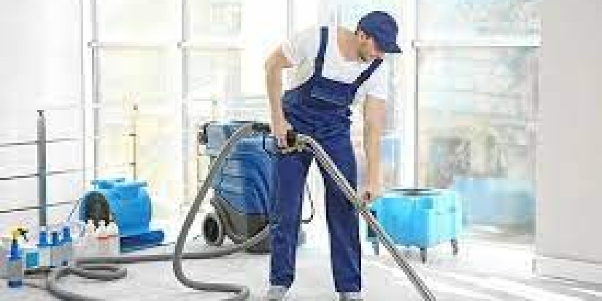 Professional Carpet Cleaning: The Aesthetic Boost Every Home Needs